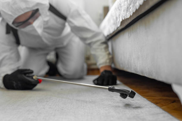 Professional Pest Control technician working in Lexington, MN