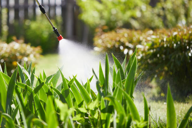 24/7 Emergency Rodent Control experts in Lexington, MN
