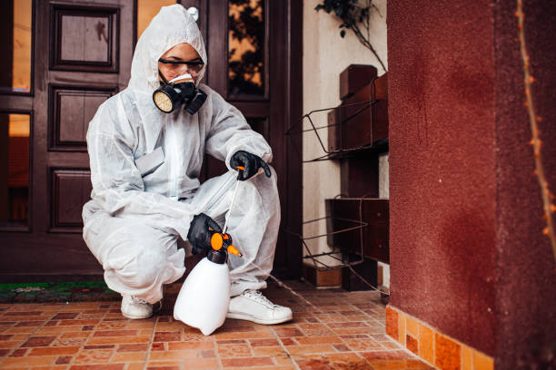 Reliable Rodent Control contractor in Lexington, MN by Nex Pest Control
