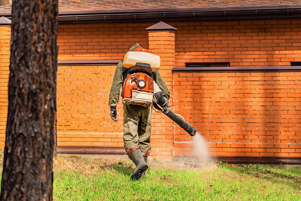 Trusted Ant Control service in Lexington, MN - Nex Pest Control